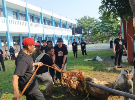 Pemotongan hewan kurban di Yayasan SIT Ruhama Depok.