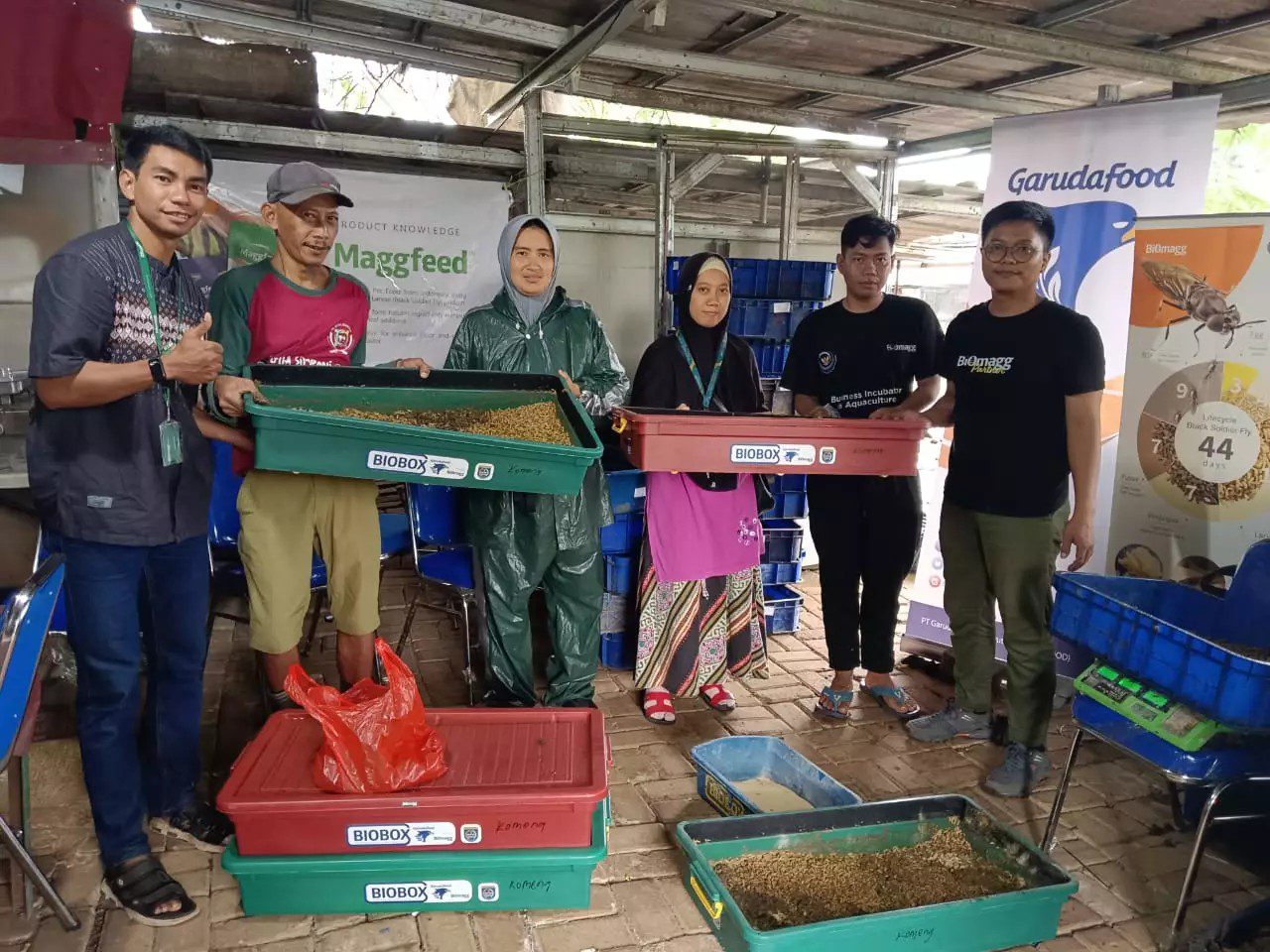 Warga Jatijajar memanen ulat maggot. (dok. Kelurahan Jatijajar)