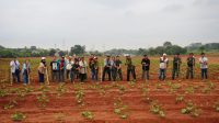 Dandim Depok Letkol Inf Imam Widhiarto, bersama Pantia HPN kota Depok 2025 memasang ajir bambu (dok. ist)