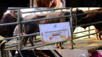 Asasta Depok Sembelih 42 Hewan Qurban di Momen Iduladha